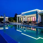 فيلة Continent هانيوتي