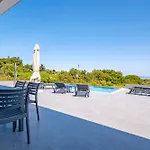 فيلة Continent هانيوتي