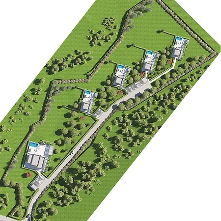 Continent ハニオティス